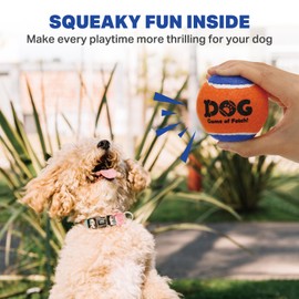 AMA SPORT Squeaky Tennis Balls for Dogs 2.5" Small Medium Dog Tennis Balls for Throwing and Fetching Dog Toys for Training, Exercise, High Bouncing 4 Pack (Orange Blue)