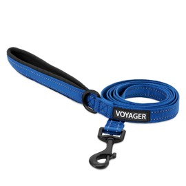 Voyager Reflective Dog Leash with Neoprene Handle, 5ft Long, Supports Small, Medium, and Large Breed Puppies, Cute and Heavy Duty for Walking, Running, and Training - Royal Blue (Leash), S