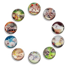 CAIRIAC Refrigerator Magnets, Acrylic Whiteboard Magnets, 10 Pack Hedgehog Fridge Magnets, Fridge Sticker Magnetic Photo Holders for Kitchen Office Classroom
