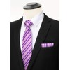 HISDERN Mens Ties Set Stripe Plaid Ties for Men and