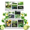 Classic Cucumber Collection Variety 8-Pack Home Garden Starter Kit by