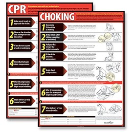ComplyRight Complyright CPR & Choking Poster Bundle