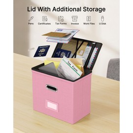 Oterri File Organizer Boxes with Lids, File Box with Mesh Pockets, Document Organizer Box for Letter Size Folders, Zippers Important Document Organizer (Pink, Small-1 Pack Without Folders)