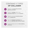Péptidos De Colágeno En Polvo Vitasei Hidrolizados Con Vitam
