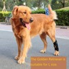 Coodeo Powerful Dog Canine Rear Leg Hock Joint Brace with