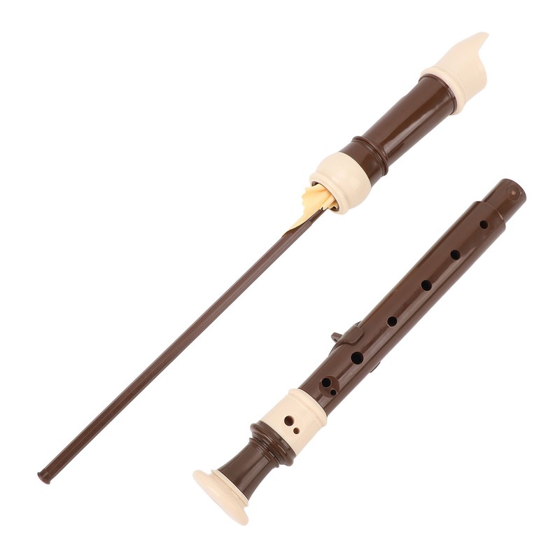 8 Hole Recorder Detachable Soprano Recorder Musical Instrument with Cleaning