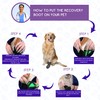 Calm Paws Recovery Boot and paw Protector (XSmall)