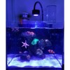 Lominie LED Aquarium Light, Nano Coral Reef Light Clip on