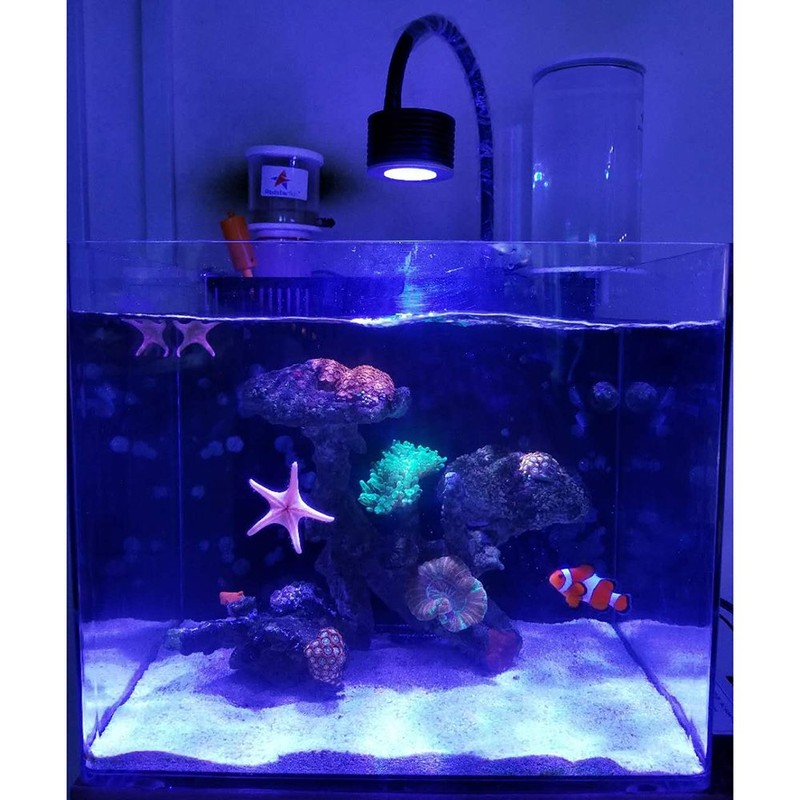 Lominie LED Aquarium Light, Nano Coral Reef Light Clip on
