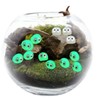 manatom Moss Terrarium Figure, Kurosuke Terrarium Figure, Moss Terrarium Kit