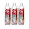 Indoors, Champion Sprayon Ant & Roach Killer net 15 oz..
