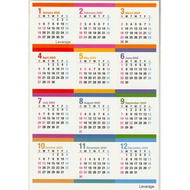 Levarage 2025 Edition Calendar, Peel & Stick Calendar Sticker, Repositionable, Sticker Calendar, Mount: Postcard Size, Removable Monthly