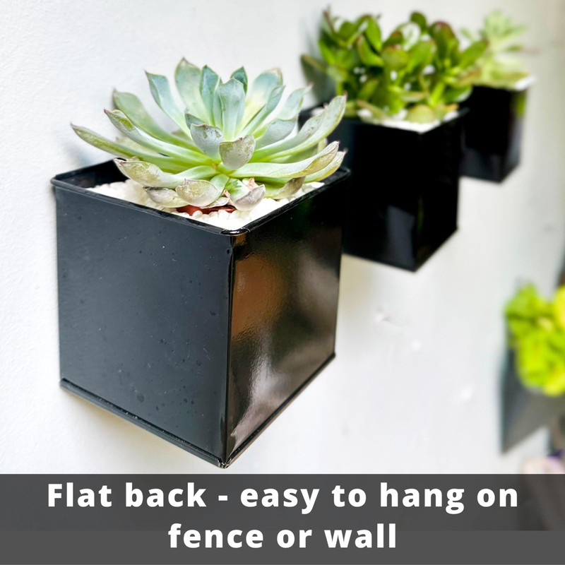 LaLaGreen Wall Planter - 6 Pack, 4 Inch Square Metal