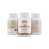 Pro Mushrooms - 120 Capsules | Cordyceps, Lion's Mane, Chaga,