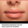 COVERGIRL Outlast All-Day Lip Color With Topcoat, Natural Blush