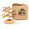 Serafino Genuine Luxury Amber Tree of Happiness Good Luck Good
