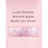 Victoria's Secret Velvet Petals Fragrance Body Lotion (8 oz)
