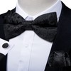 DiBanGu Pre-Tied Silk Bow Tie Set for Men Black Paisley