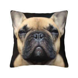 French Bulldog Pillowcase Funny Puppy Pillow Cover Pillow case Square Cushion Cover Bedroom Livingroom Sofa Home Decor 18 X 18 Inch