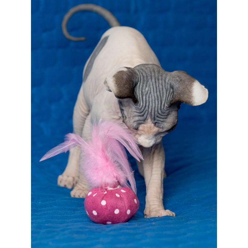 Nekomote Ball with Wings