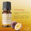MEVA Esencias para Difusores y Humidificadores de Aromas 5ml Varios