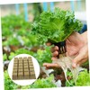 Outanaya 1 Set Hydroponic Soilless Cultivation Blocks Mineral Wool Starter