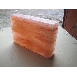 Black Tai Salt Co. Set of 2 4"x8"x2" Himalayan Salt Bricks!