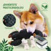 LEGEND SANDY - Juguetes Masticables y Juegos para Perros, Juguete