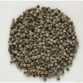Organic Agnus Castus Berries (Chasteberry) (Vitex agnus-castus) (100g)