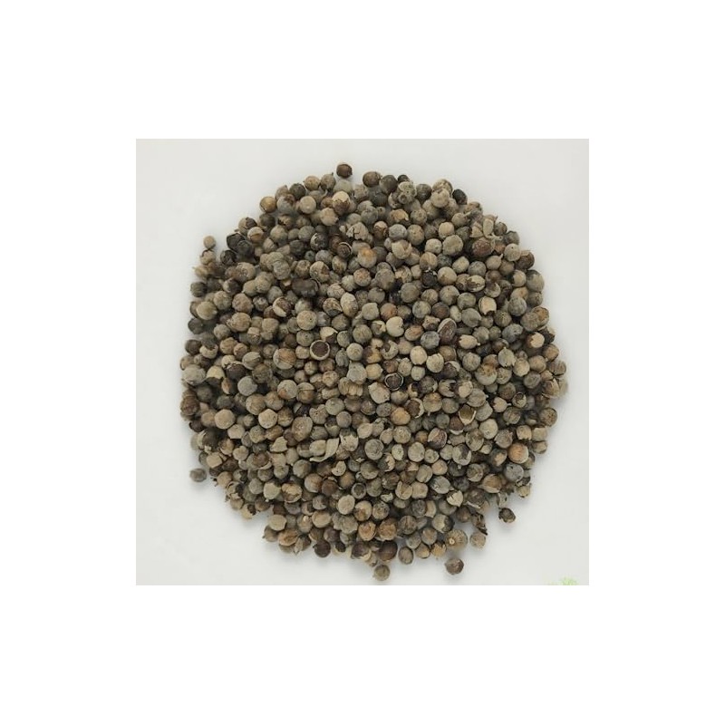 Organic Agnus Castus Berries (Chasteberry) (Vitex agnus-castus) (100g)