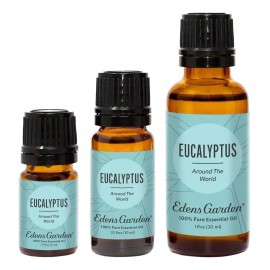 Edens Garden Aceite Esencial De Eucalipto Around The World,