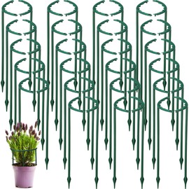 Nuanchu 60 Pcs Half Round Plant Stakes Plant Support Stakes 5.7" Wide X 9.8" High Garden Flower Support Indoor Plant Support Stakes Plant Cages for Tomato Hydrangea Peony