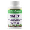 Paradise Herbs Olive Leaf Extract from Spanish Andalusian Olive Trees,
