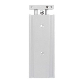 Double‑Rod Pneumatic Cylinder, Small Swing Well Sealed Pneumatic Cylinder Pneumatic Slide Bearing Cushioned for Slide Bearing Cushioned for Chemical Industry(CXSM10-50)