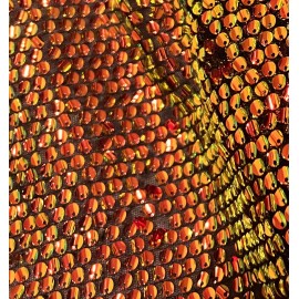 wowfabric4less123 Orange Green Iridescent stretch sequin Lace fabric 50” Width Sold By The Yard