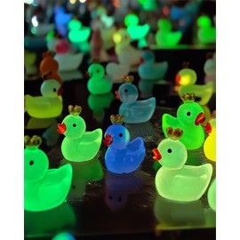 SAFITOYA Duck Charms, Kawaii DIY Shoe Charms - 16PCS 3D Duck Animal Clog pins for Birthday Parties, One Size, Plastic, No Gemstone