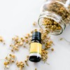 ECO. Modern Essentials Chamomile 3% (German) Essential Oil, 10ml