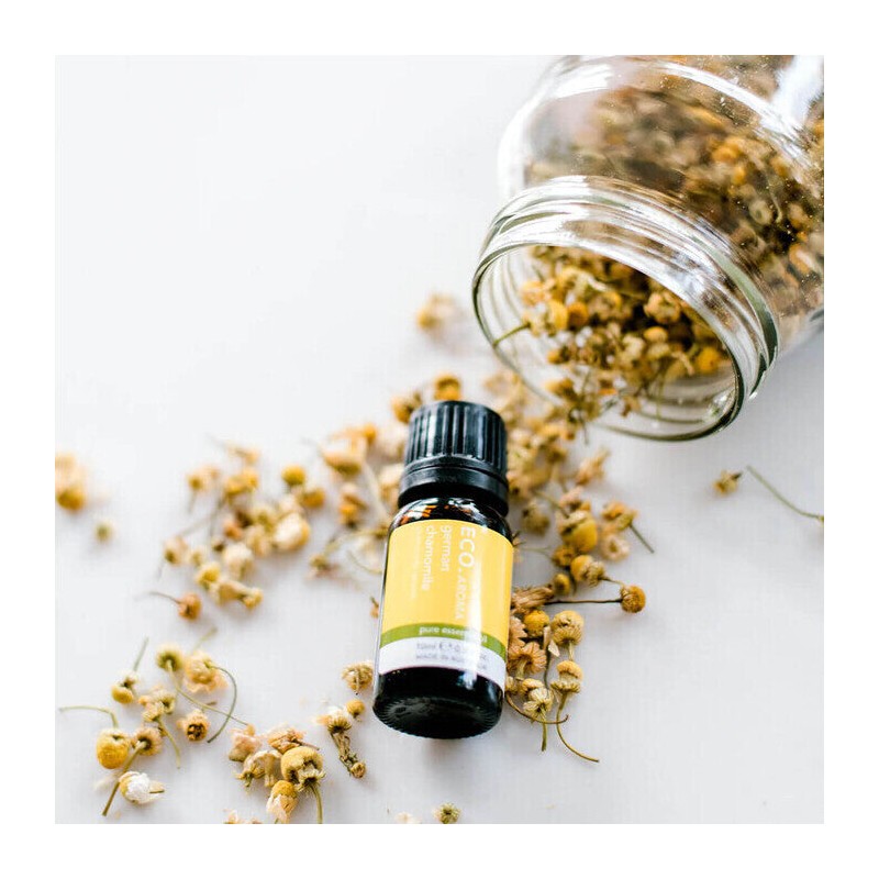 ECO. Modern Essentials Chamomile 3% (German) Essential Oil, 10ml