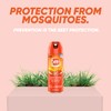 OFF! Active Insect Repellent, Sweat Resistant 6 oz ( Pack