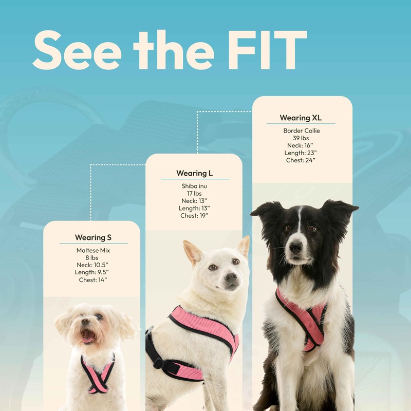 Gooby Comfort X Harness Dual Snap Mesh in Dog Harness