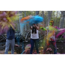 10 Colors x 50 grams - CraZeeColors(TM) Premium Holi Color Powder
