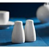 Price & Kensington Simplicity Salt And Pepper Pots