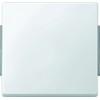 Merten 343119 Wippe, polar white, AQUADESIGN