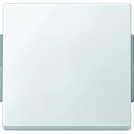 Merten 343119 Wippe, polar white, AQUADESIGN