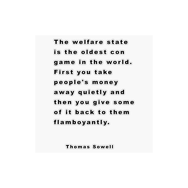 Thomas Sowell Quote Bumper Sticker Vinyl Decal 5 inches