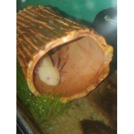 AQUATICBLENDEDFOODS ABF Gourmet Axolotl Soft Food Pellet Mix 3.2mm & 4.0mm (12oz)- ABF6