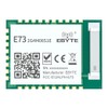NRF52833 RF Wireless Module BLE5.1 BLE Mesh Thread Zigbee 2.4GHz