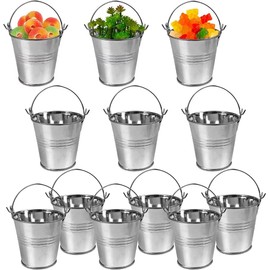 12 Pack Mini Metal Buckets Small Metal Pail Tinplate Tin Pails Containers with Handles for Party Favors and Garden Decorations (Silver)