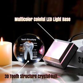 Ornalrist 3D Human Tooth 3.15 in. Crystal Ball for Dentists Dentistry, Glass Sphere Etched Anatomical Model Keepsake for Surgeon Doctor Him with LED Light Base