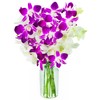 Blooms2Door PRIME NEXT DAY DELIVERY - Mother’s Day Collection -